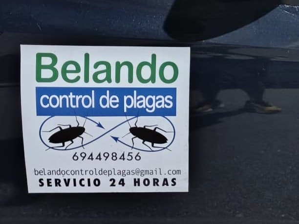 Rotulación de Belando Control de Plagas en el vehículo con el que se atienden los tratamientos de desinsectación